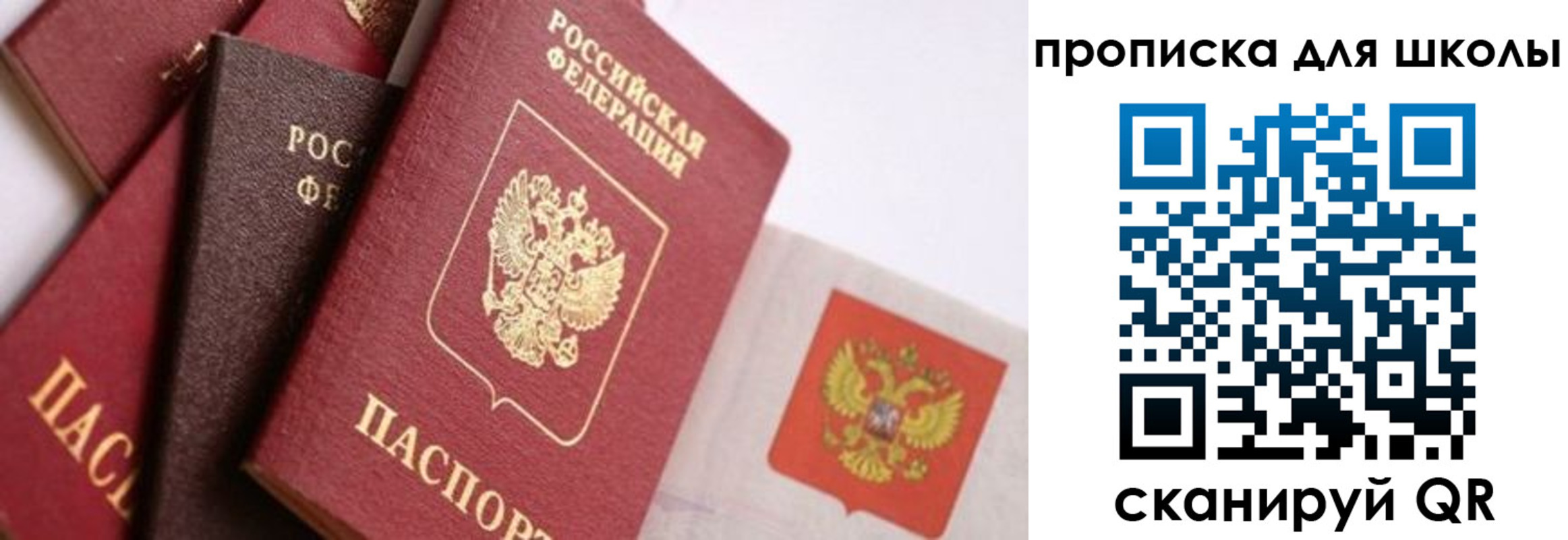 прописка поиск в Чите